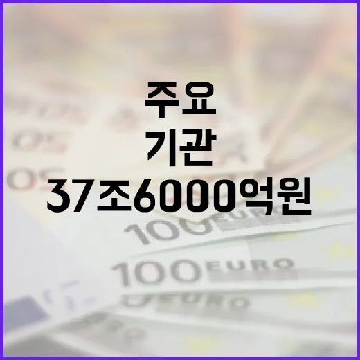 37조 6000억원 주요 기관의 경기회복 신속 집행!