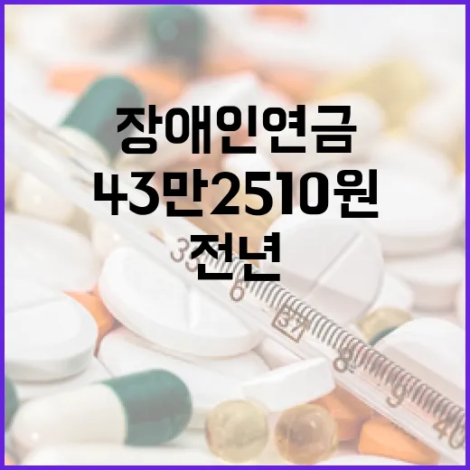 장애인연금 43만 2510원! 전년 대비 인상 소식!