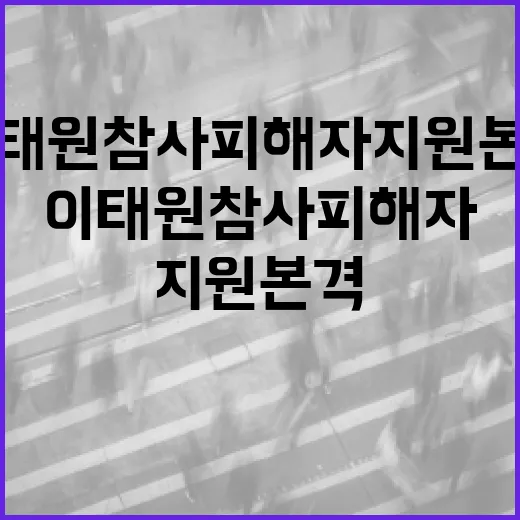 이태원참사 피해자 …