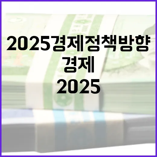 2025 경제정책방향 미래를 바꿀 혁신 전략 공개!