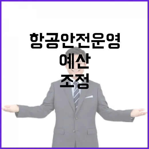 항공안전운영 예산 국토부의 shocking 조정 비밀!