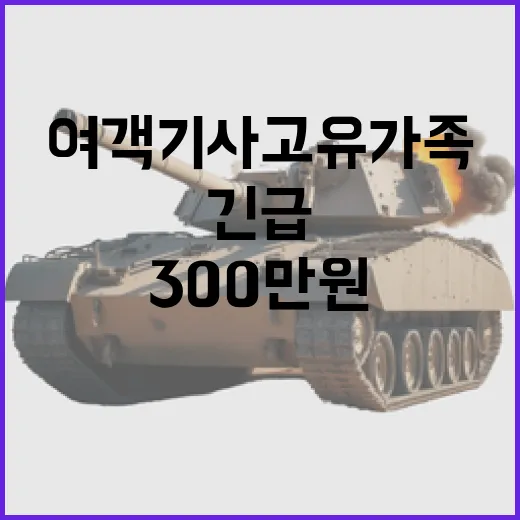 여객기 사고 유가족 300만원 긴급 지원 결정!