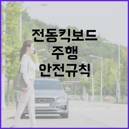 전동킥보드 주행 안…