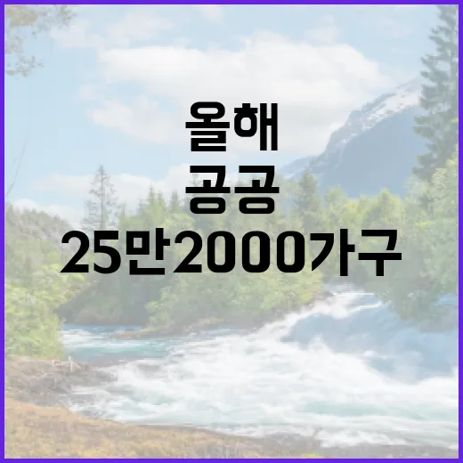 공공 공급 올해 25만2000가구 역대 최대 실현!