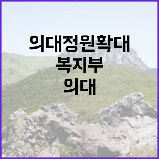 의대 정원 확대 복…