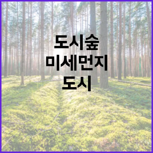 도시숲 197곳 미…