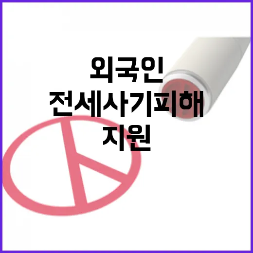 전세사기 피해 외국…