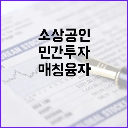 민간투자 매칭융자 …