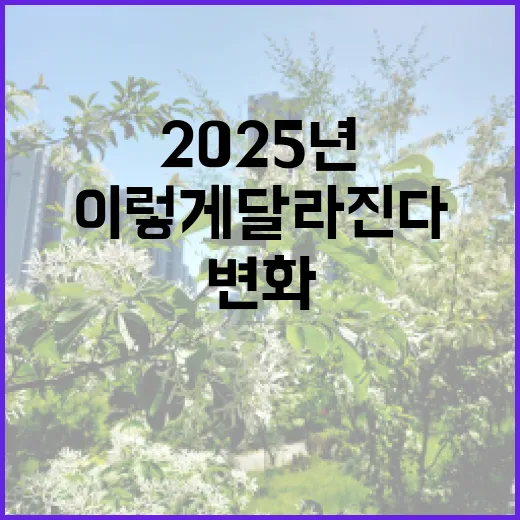 2025년 변화 당신의 삶이 이렇게 달라진다!