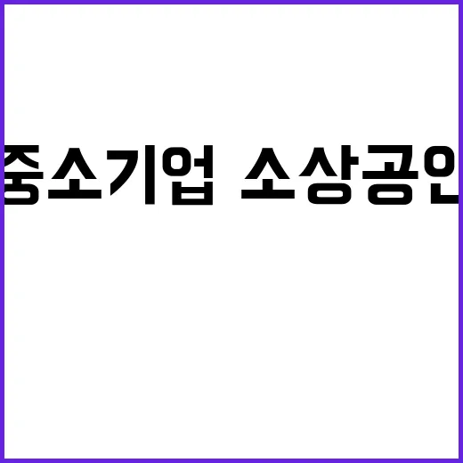 유동성 지원, 중소…