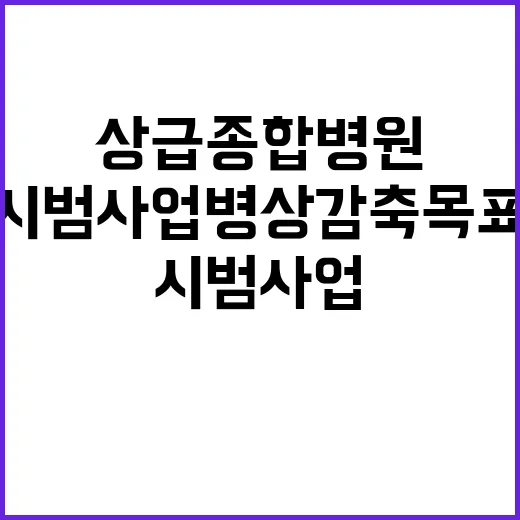 상급종합병원, 시범…