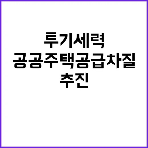 투기세력, 공공주택…