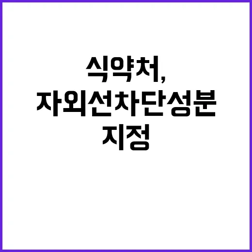 식약처, 새로운 자…