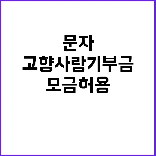 고향사랑기부금, 문…