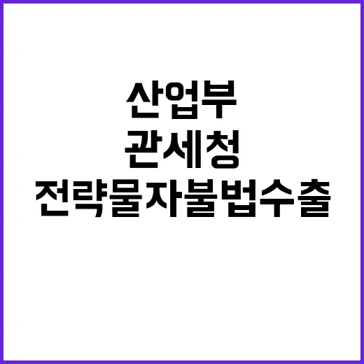 전략물자 불법수출, 산업부와 관세청 협업 강화!