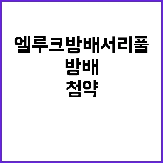 엘루크 방배 서리풀…