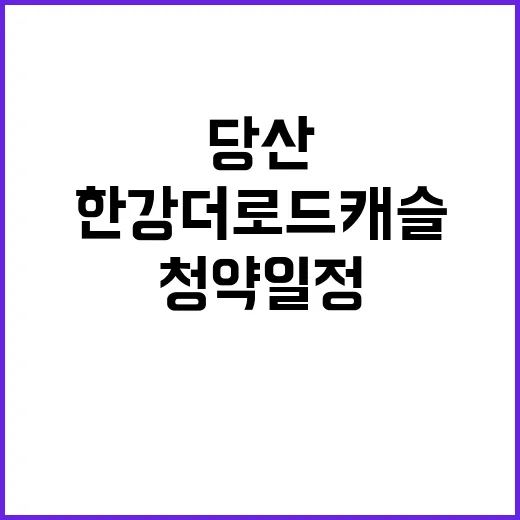 당산 한강 더로드캐…