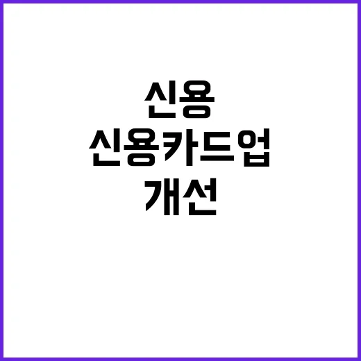 신용카드업 규제 개선 미확정 사실 공개!