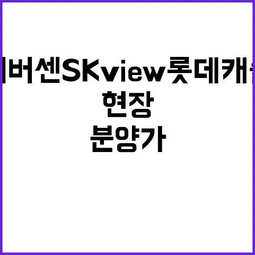 리버센 SK VIE…