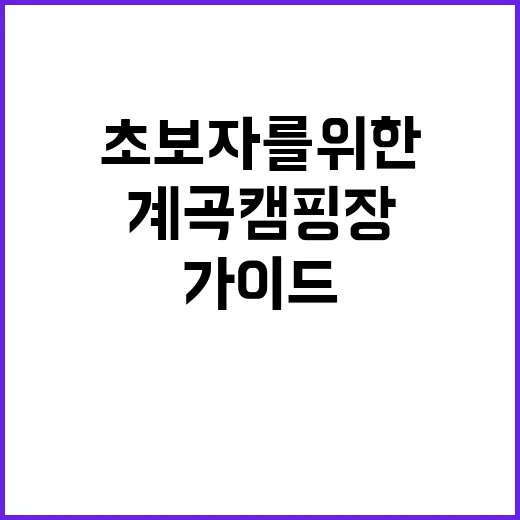 관악산 계곡 캠핑장…