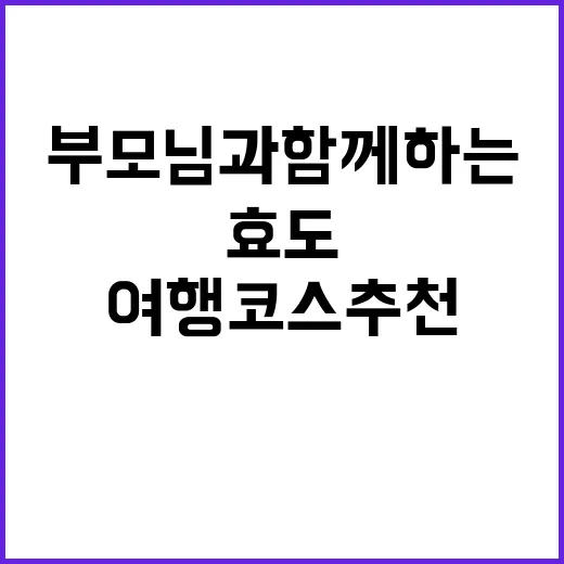 효도투어