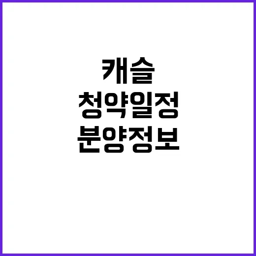 서초비버리캐슬 특별…