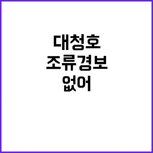 대청호 조류경보 먹…