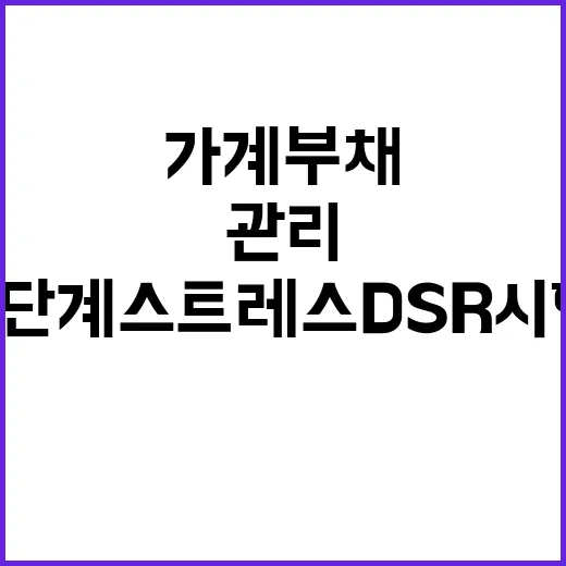 ‘가계부채’ 관리 내달부터 2단계 스트레스 DSR 시행!