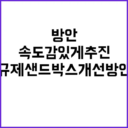 규제샌드박스 개선방안 속도감 있게 추진한다!