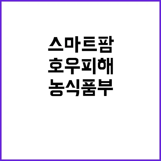 스마트팜 호우 피해…