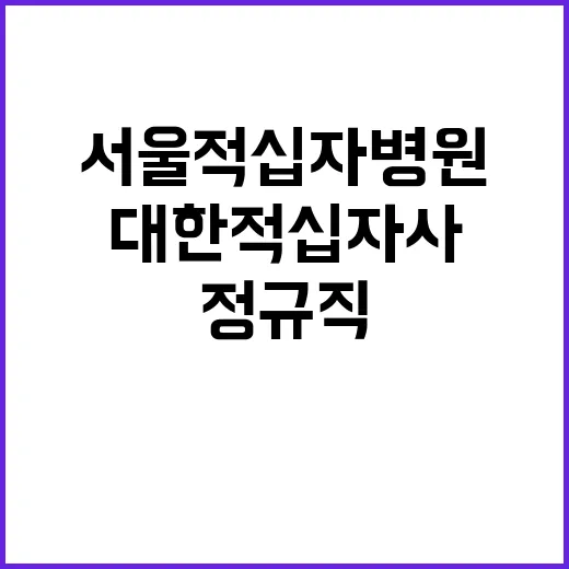 대한적십자사 정규직…