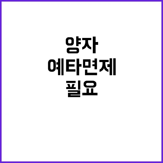 양자 육성 사업 예…