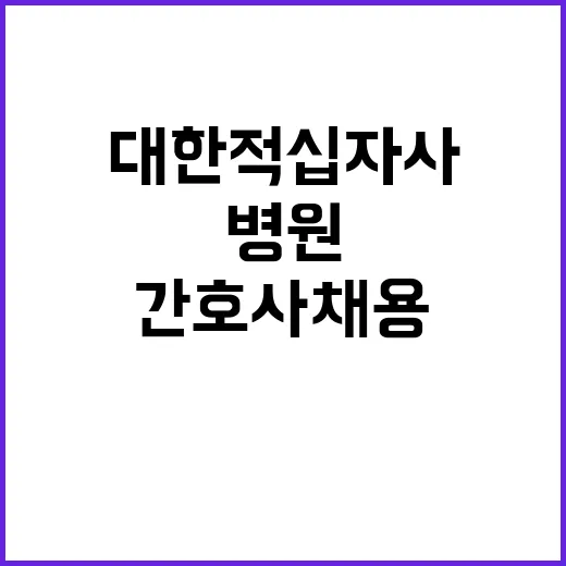 대한적십자사 비정규…