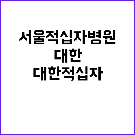 대한적십자사 비정규…