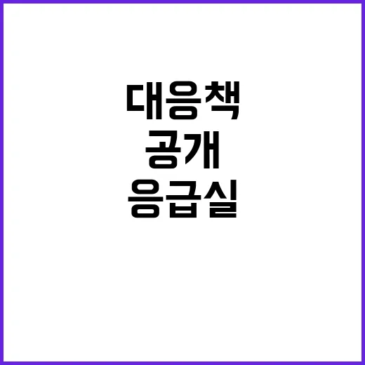 응급실 불편 복지부의 숨겨진 대응책 공개!