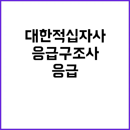 서울적십자병원 계약직 응급구조사 신규채용(2024.10.01.)