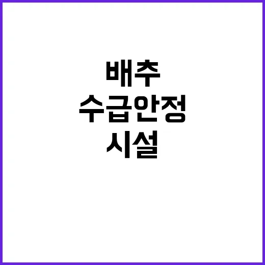 시설채소 배추 공급…