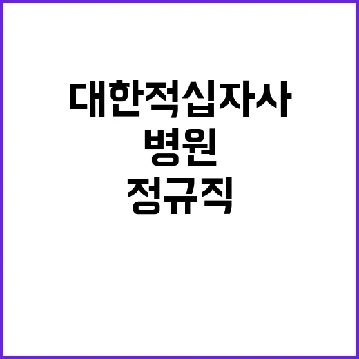 대한적십자사 정규직…