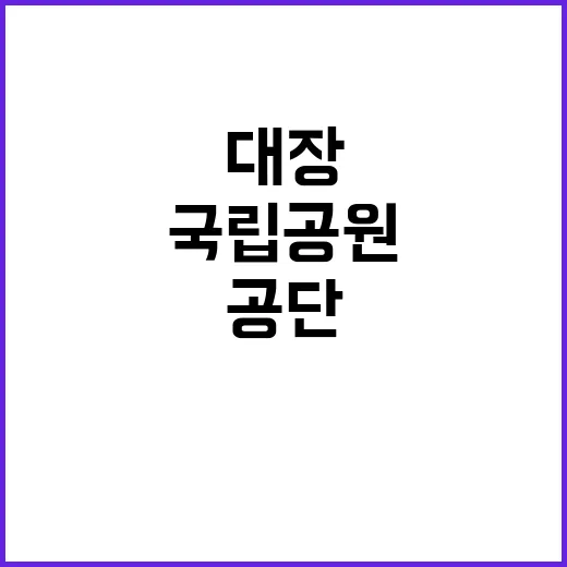 국립공원공단 비정규…