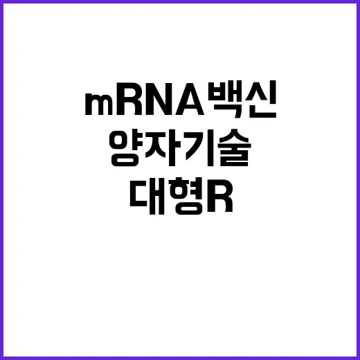 mRNA 백신 양자기술 대형 R&D사업 예타 면제!