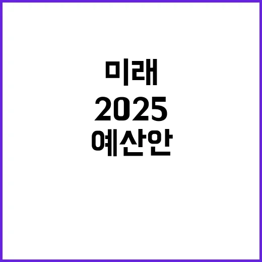 2025 예산안 미래 준비와 안전한 삶의 비밀!