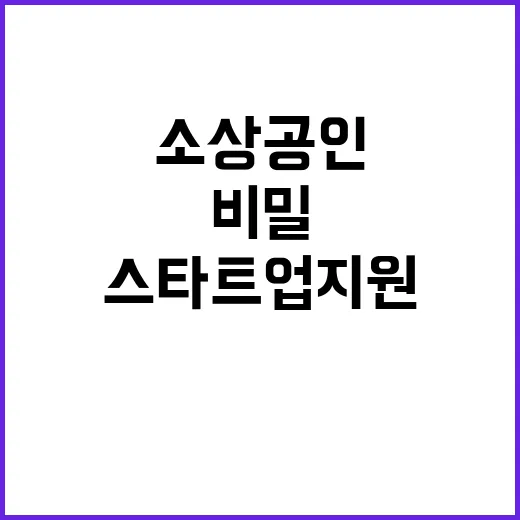 예산 15조 소상공인과 스타트업 지원의 비밀!