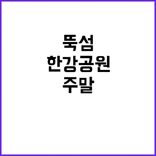 한강공원 뚝섬 캠핑…