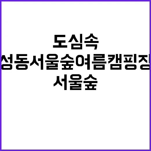 성동 서울숲 여름캠…