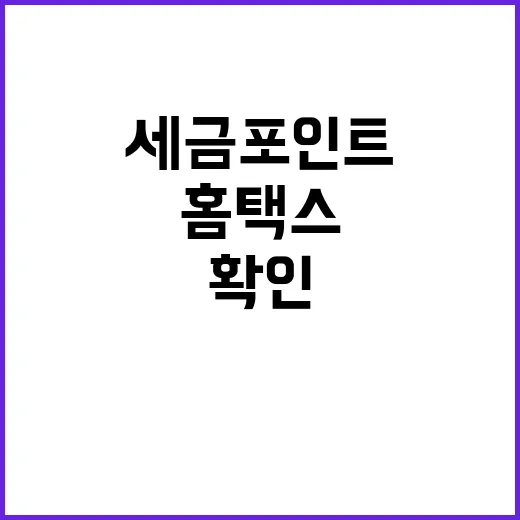 세금포인트 홈택스에…