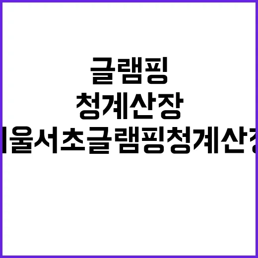 서울 서초 글램핑 …