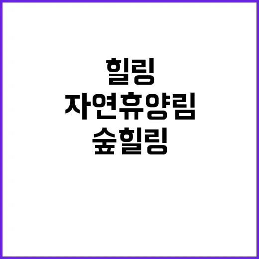 추석 명절 숲 힐링…