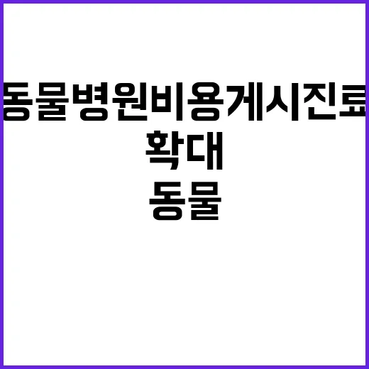 동물병원 비용 게시…