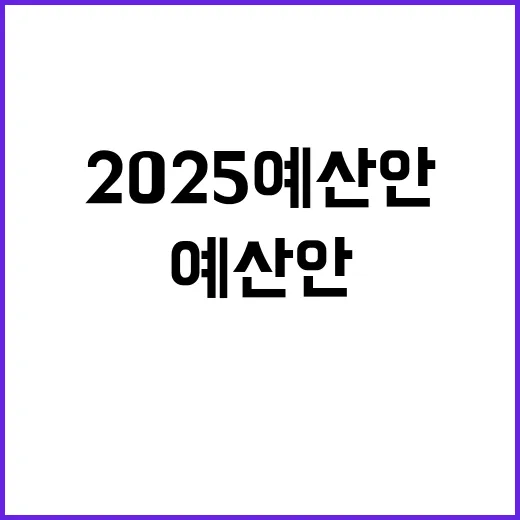 2025 예산안 살…