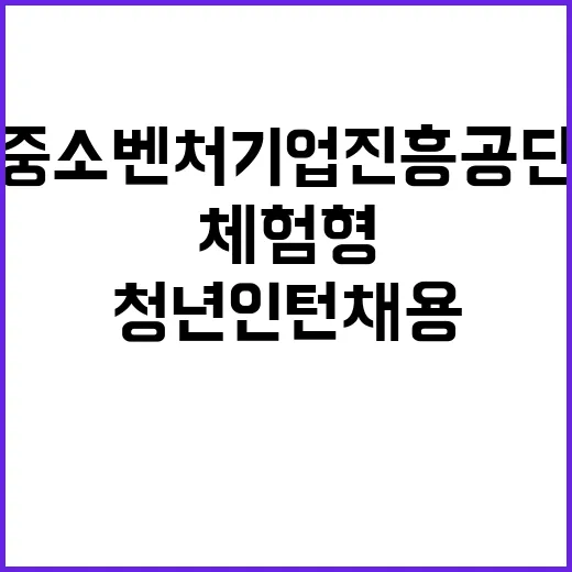 중소벤처기업진흥공단…